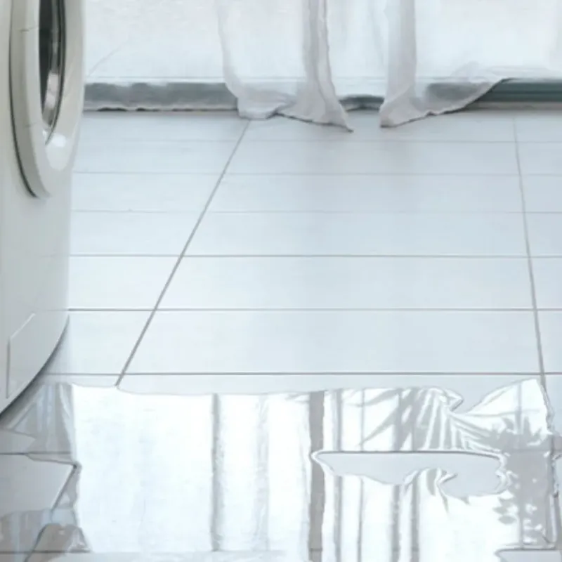 Appliance Leak Cleanup in Park City, TN