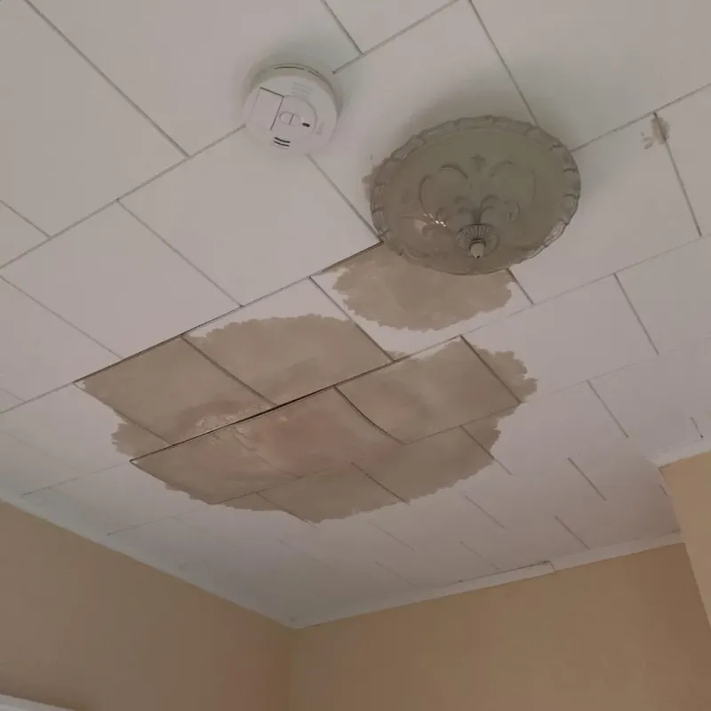 Ceiling Water Damage Repair in Park City, TN