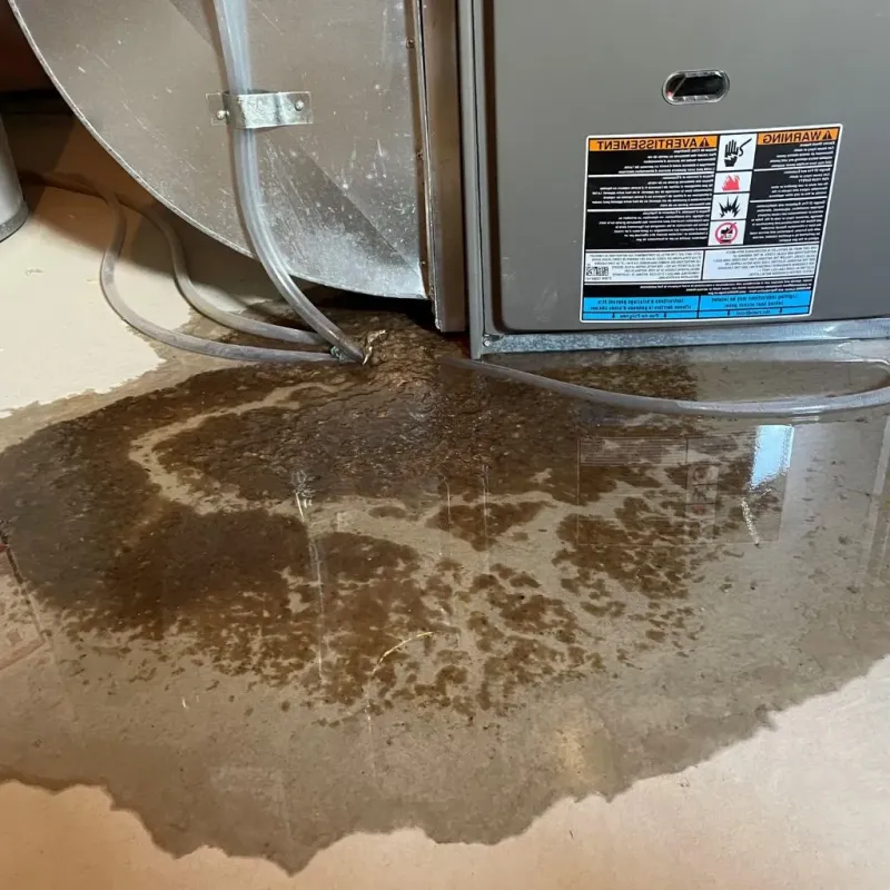 Pipe Burst and Leak Restoration in Park City, TN