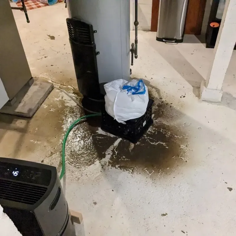 Sewage Backup Cleanup Service in Park City, TN